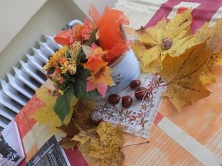 DSCN1491