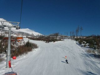IMG_11