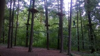 WP_20160617_037