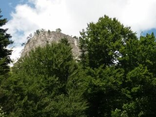obr, 5