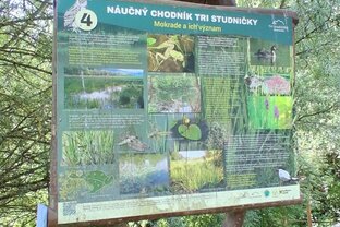 Zväčšiť fotografiu - Dnes sme objavovali tajomstvá mokradí